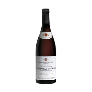 Chambolle-Musigny, Bouchard Père & Fils, Rouge 2017